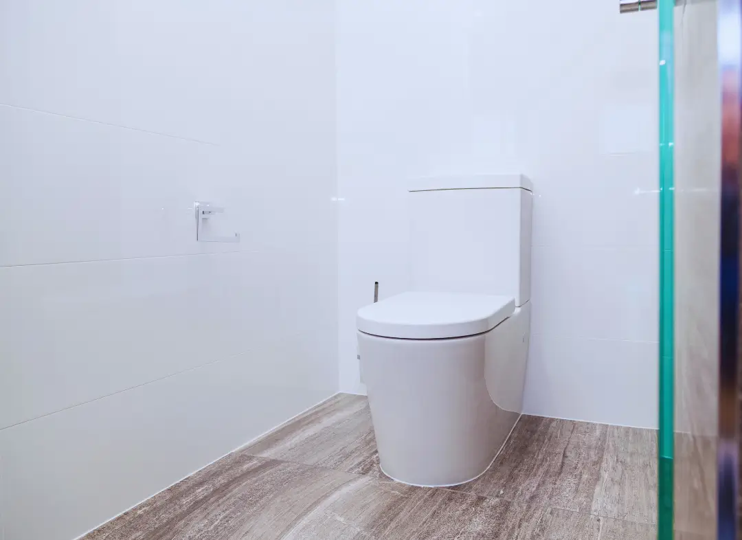 Remplacement de wc Le Bar-sur-Loup